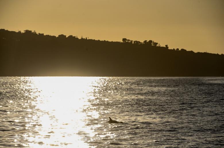 Sunrise Sorrento